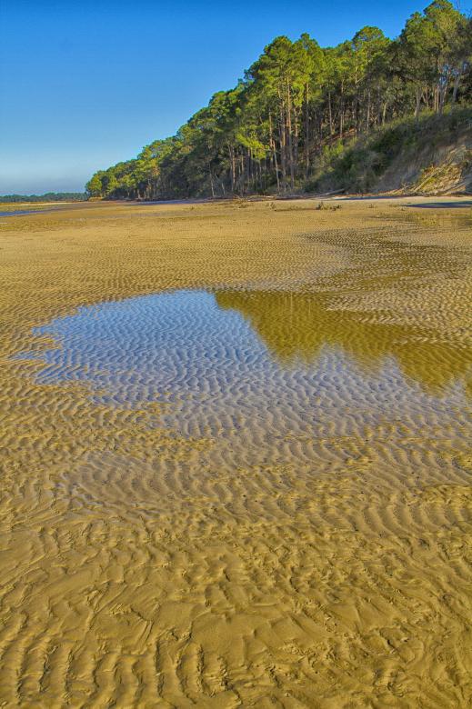 Free stock image of Wet Beach created by Pixabay