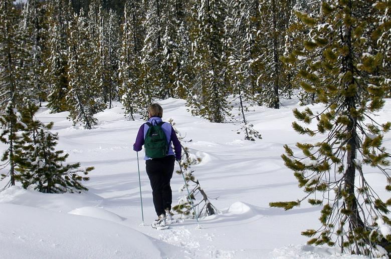 Free stock image of Snow Shoeing created by Pixabay