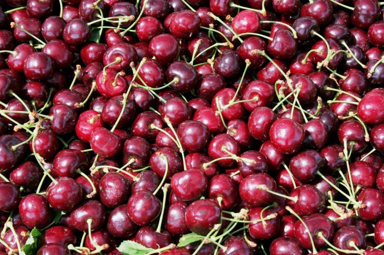 Free stock image of Fresh Cherries created by Pixabay