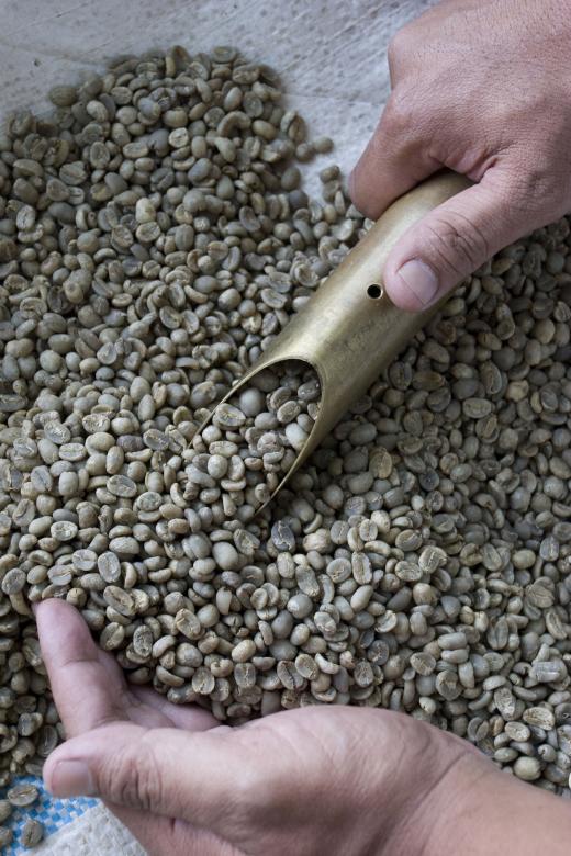 Free stock image of Coffee Beans created by Pixabay