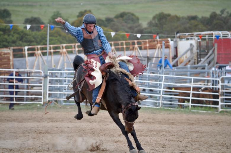 Free stock image of Cowboy Riding the Horse created by Pixabay
