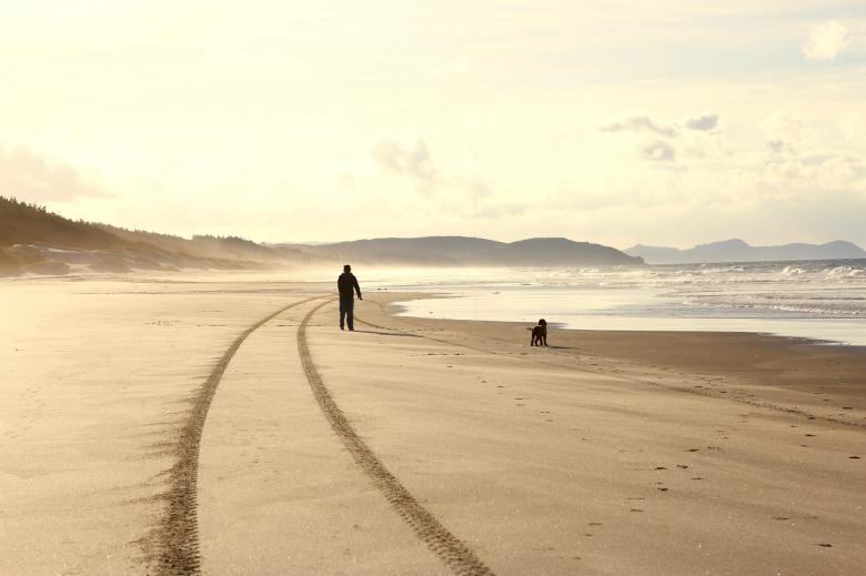 Free stock image of On the Beach created by Pixabay