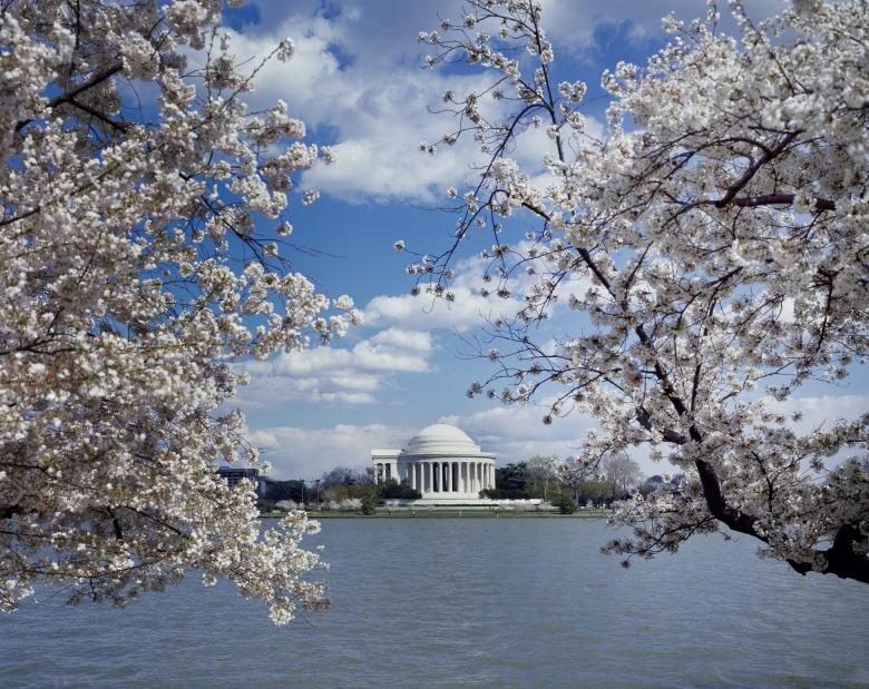 Free stock image of Jefferson Memorial created by Pixabay