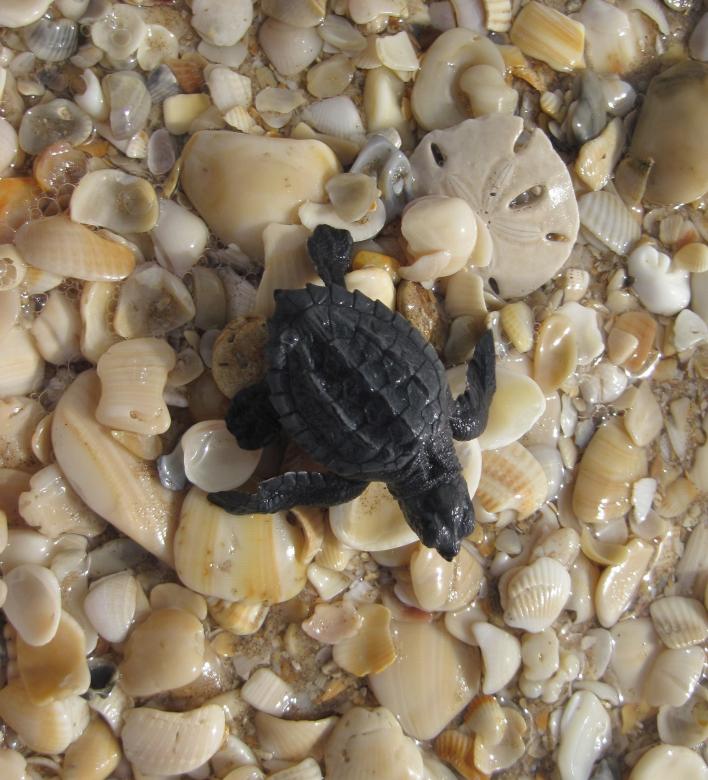 Free stock image of Sea Turtle created by Pixabay