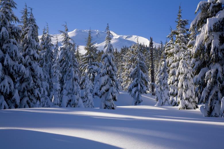 Free stock image of Frozen  created by Pixabay