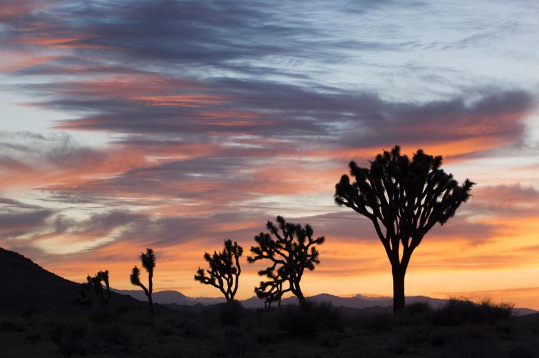 Free stock image of Sunset in the Desert created by Pixabay