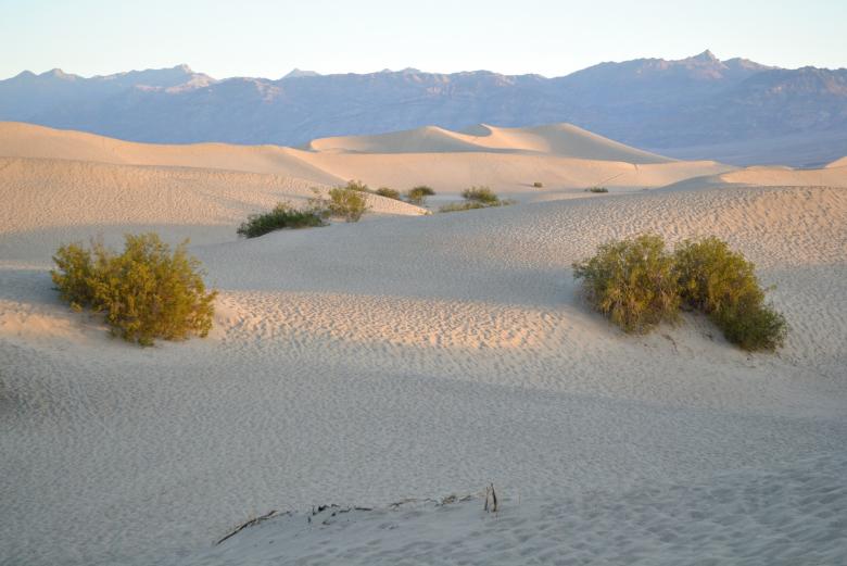 Free stock image of Sand Dunes created by Pixabay
