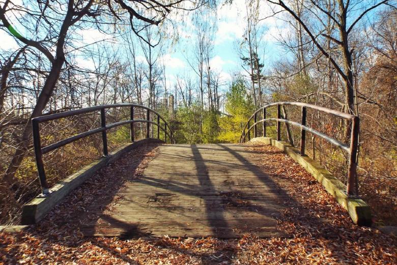 Free stock image of Foot Bridge created by Pixabay