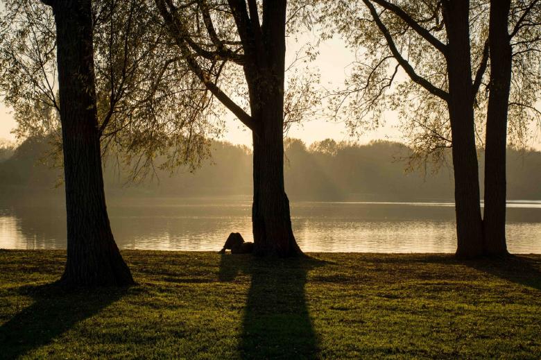 Free stock image of Still Water created by Pixabay