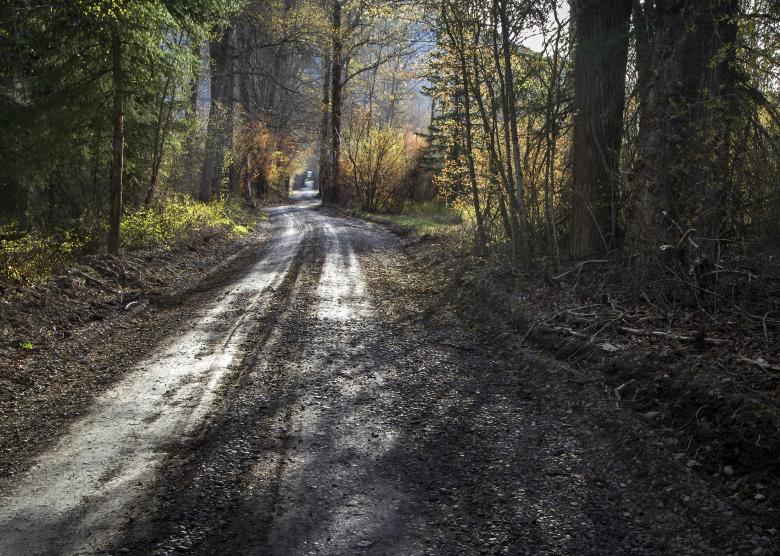 Free stock image of Route through the Woods created by Pixabay