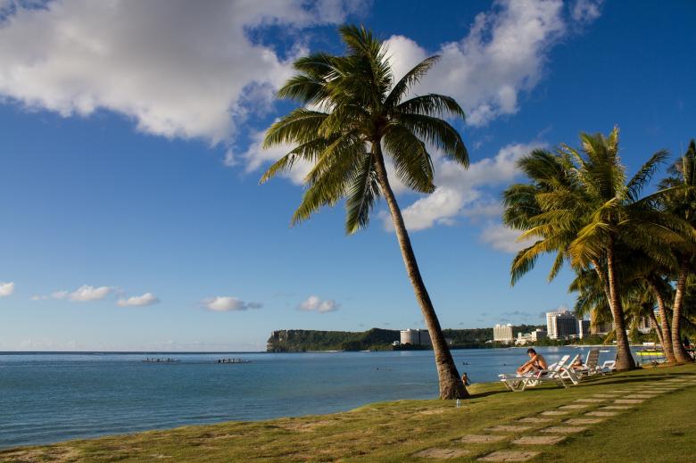 Free stock image of Palm Trees on the Beach created by Pixabay