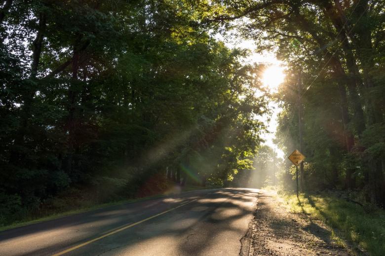 Free stock image of Rural Road created by Pixabay