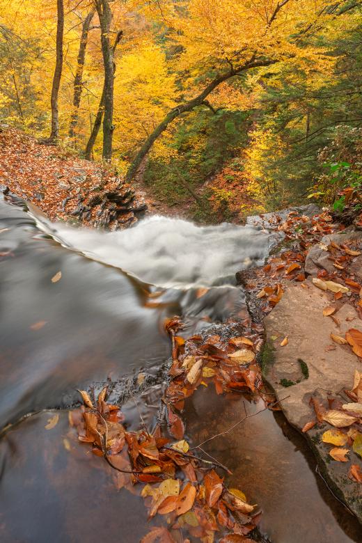 Free stock image of Autumn Waterfall Precipice - HDR created by Nicolas Raymond