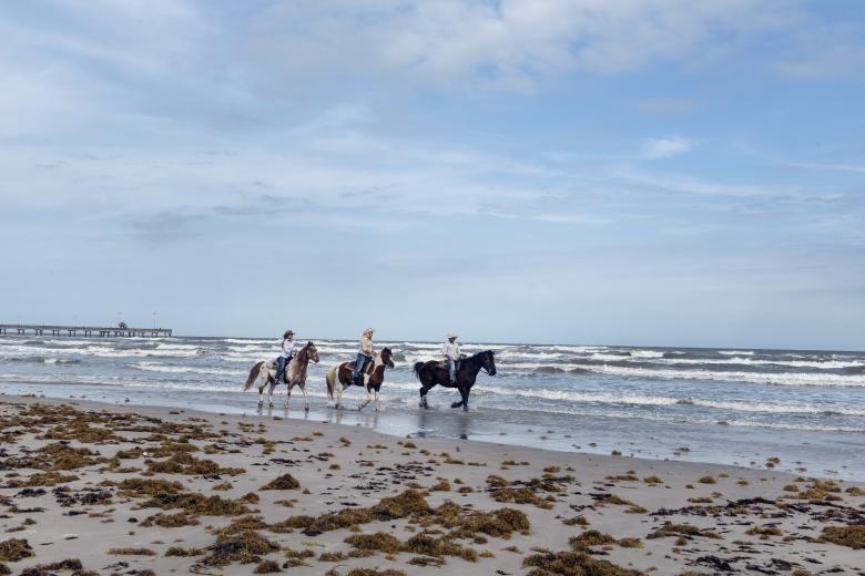 Free stock image of Riding on the Shore created by Pixabay