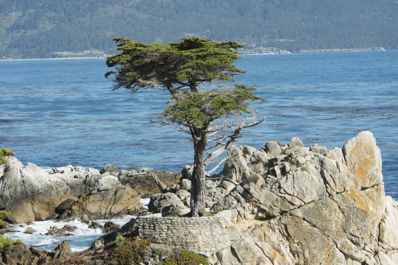 Free stock image of Pebble Beach created by Pixabay
