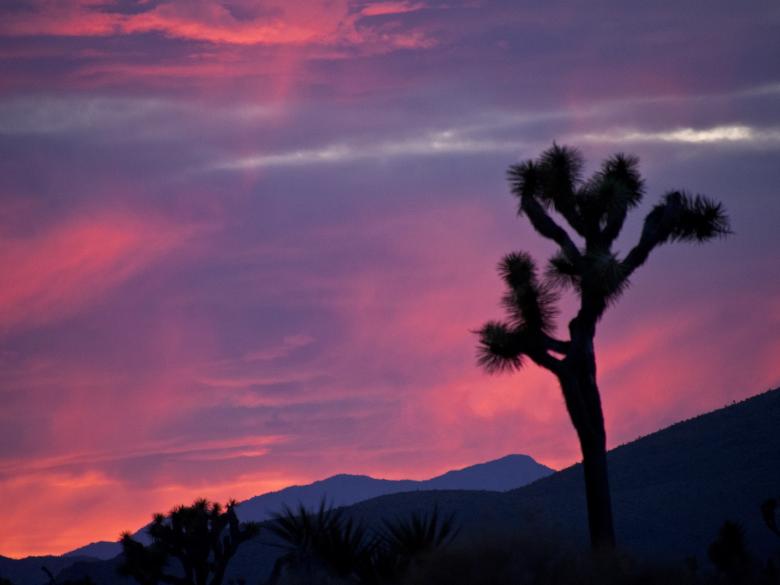 Free stock image of Pink Sunset created by Pixabay