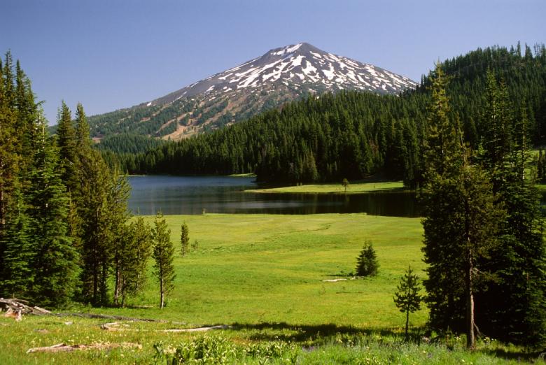 Free stock image of Meadow created by Pixabay