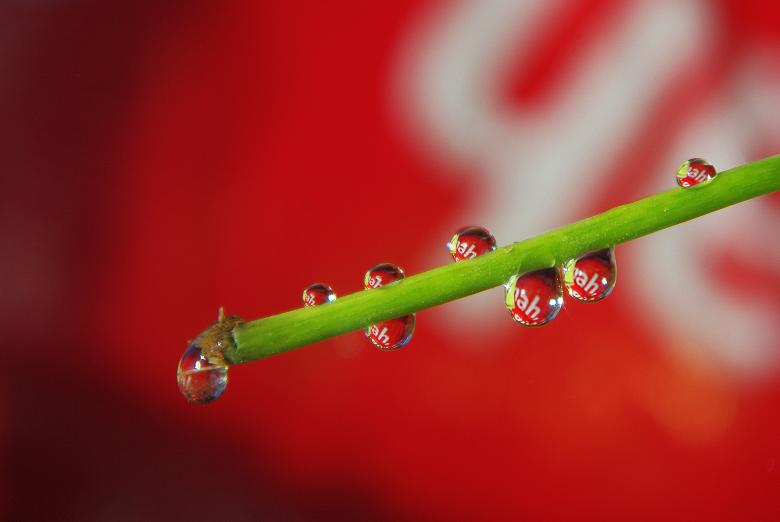 Free stock image of Drop of Water created by Pixabay