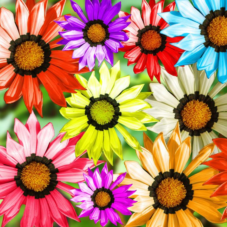 Free stock image of Gerbera Flowers created by Pixabay