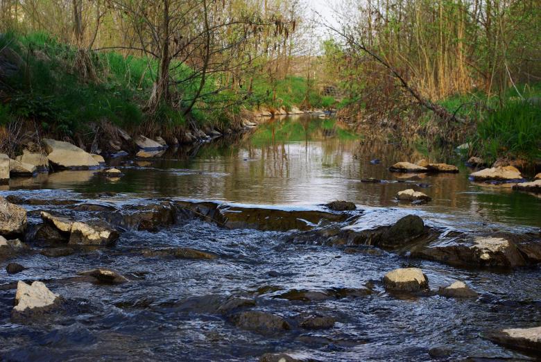 Free stock image of Flowing River created by Pixabay