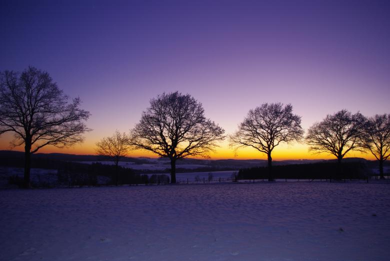 Free stock image of Sunset in Winter created by Pixabay