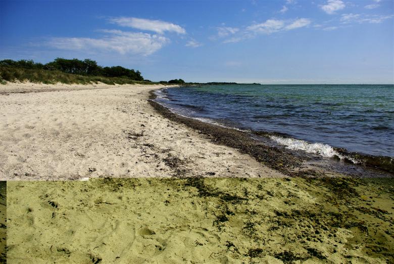 Free stock image of Fehmarn created by Pixabay