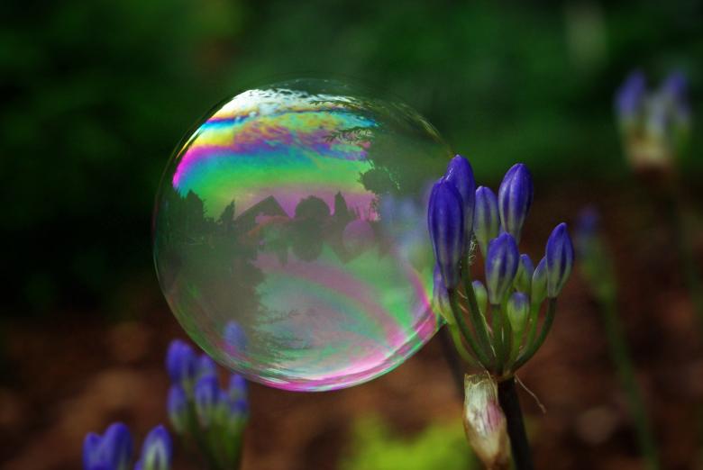 Free stock image of Soap Bubble created by Pixabay