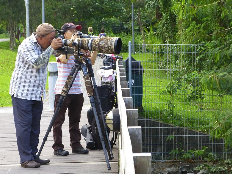 Free stock image of Photographers in Park created by Pixabay