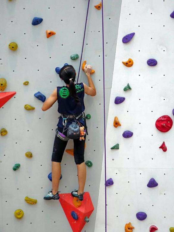 Free stock image of Climbing the Wall created by Pixabay