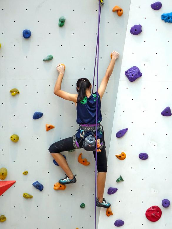 Free stock image of Climbing the Wall created by Pixabay