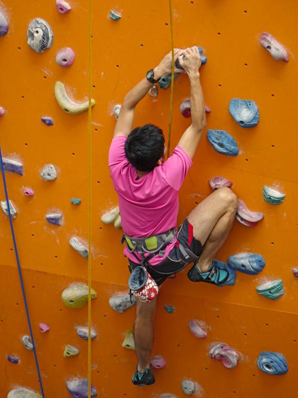 Free stock image of Climbing the Wall created by Pixabay