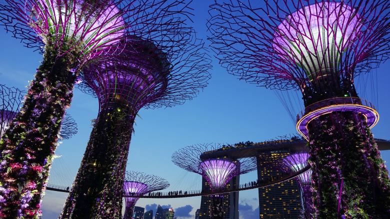 Free stock image of Garden By The Bay created by Pixabay