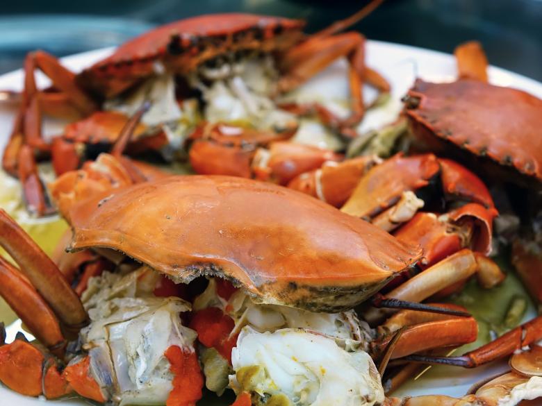 Free stock image of Spicy Crab created by Pixabay