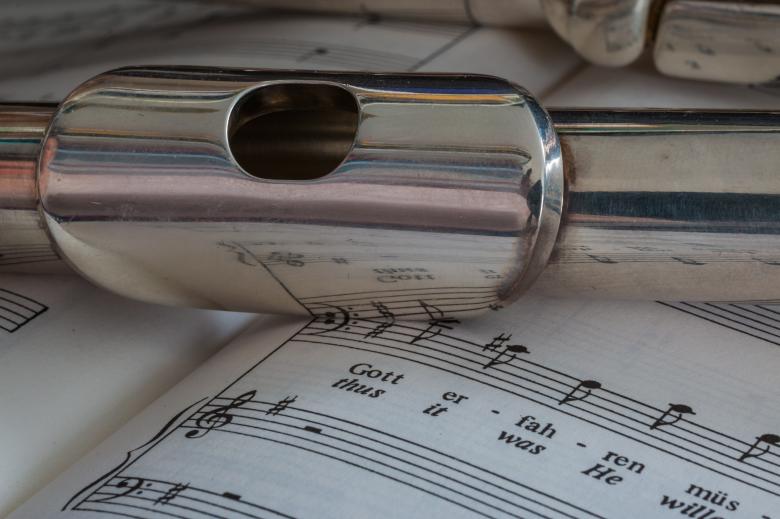 Free stock image of Passion for Music created by Pixabay