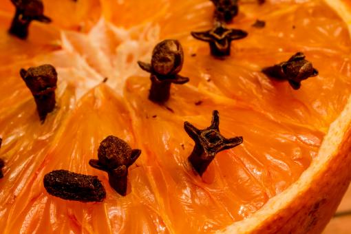 Studded Orange - Free Stock Photo
