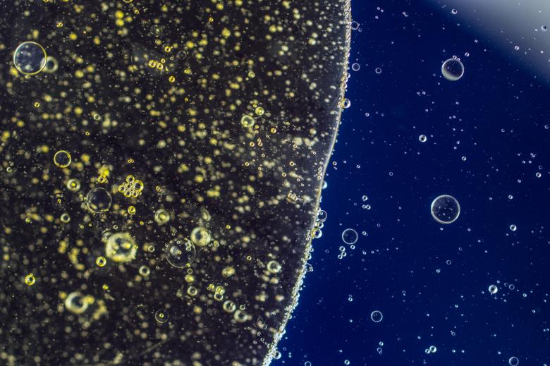 Free stock image of Oil in Water created by Pixabay