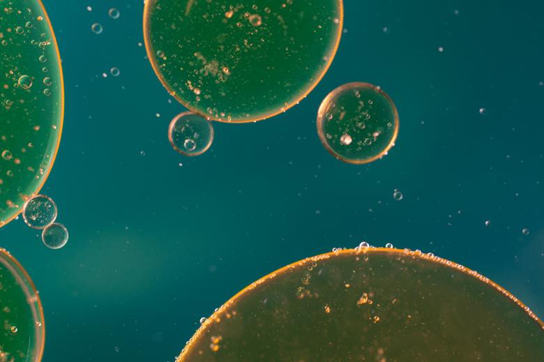 Free stock image of Oil in Water created by Pixabay