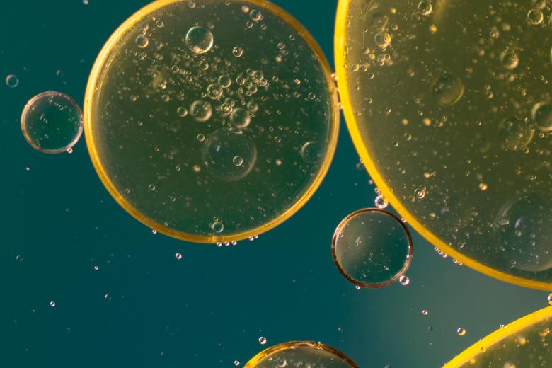 Free stock image of Oil in Water created by Pixabay