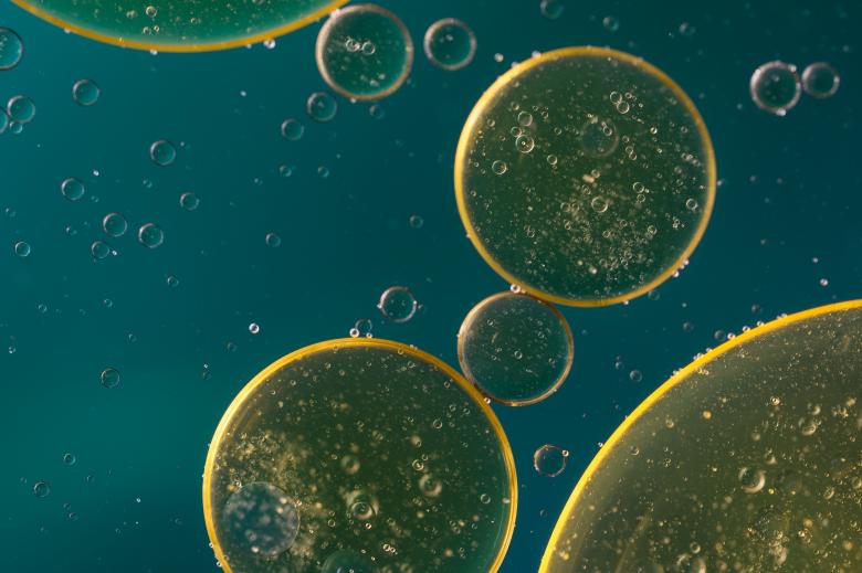 Free stock image of Oil in Water created by Pixabay