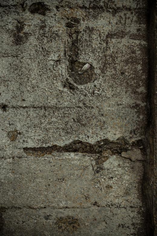 Free stock image of Cracked Old Concrete Wall Texture created by Free Texture Friday
