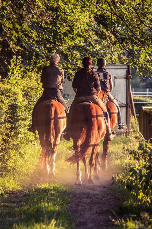 Free stock image of Horse Riders created by Pixabay