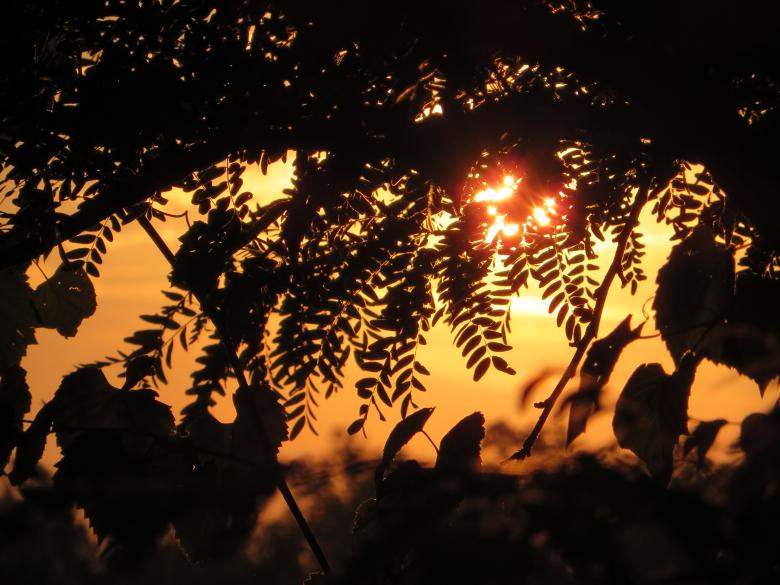 Free stock image of Abendstimmung created by Pixabay