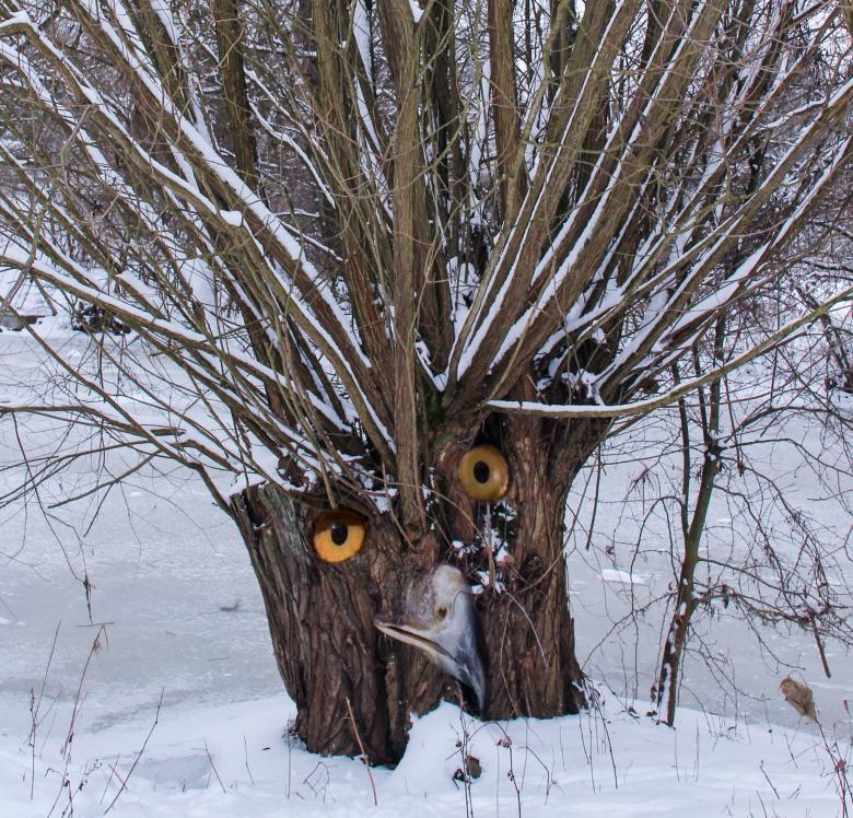 Free stock image of Tree in Winter created by Pixabay