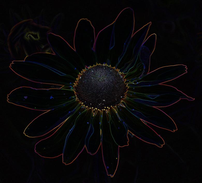 Free stock image of Abstract Flower created by Pixabay