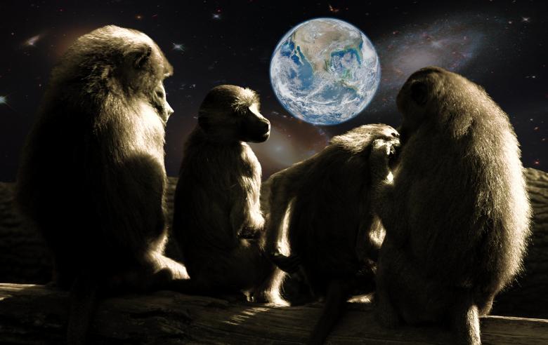 Free stock image of Planet of the Apes created by Pixabay