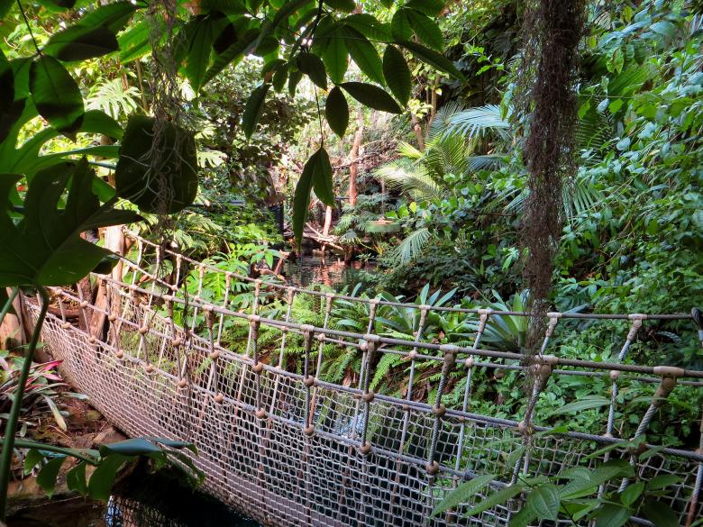 Free stock image of Hanging Bridge created by Pixabay