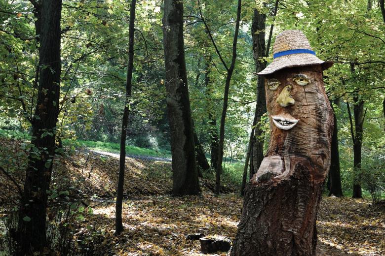 Free stock image of In the Woods created by Pixabay