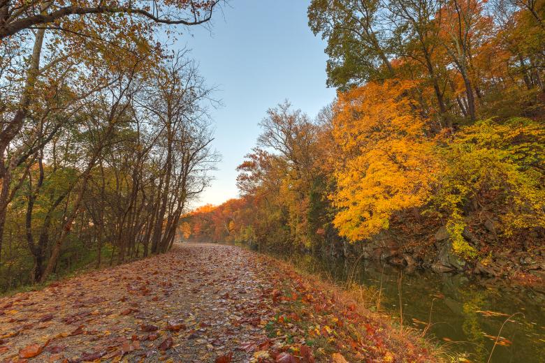 Free stock image of Anglers Autumn Towpath - HDR created by Nicolas Raymond