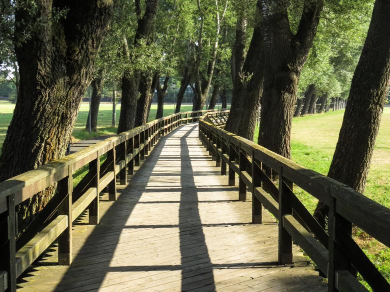 Free stock image of Wooden Bridge created by Pixabay