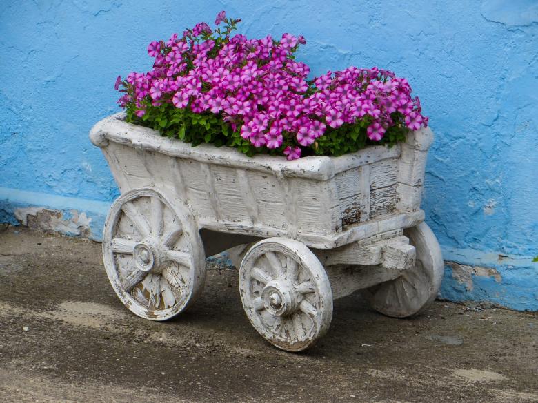 Free stock image of Fresh Flowers in the Garden created by Pixabay